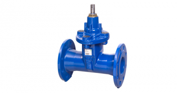 Resilient seated gate valves